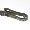 DAYCO GOLD LABEL POLY-RIB SERPENTINE FAN BELT