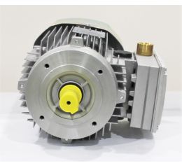 ELECTRIC MOTOR