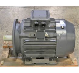 ELECTRIC MOTOR 37/44.4kW 400/690//480/830V 50/60Hz