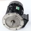 IWS BEVI ELECTRIC MOTOR 5/18kW 400/690//480/830V 50/60