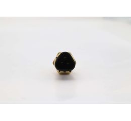 COOLANT TEMP SWITCH: QAS 25/45