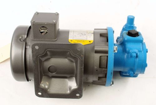 IWS PUMP & MOTOR