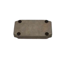 PLATE MAIN VALVE