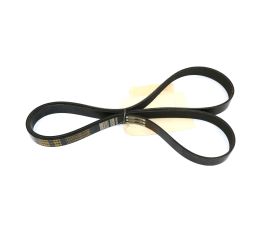 SERPENTINE BELT