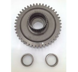 GEAR & BEARING ASSEMBLY