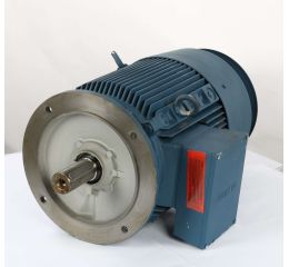 ELECTRIC MOTOR 30/34.5kW 400/460V 50/60Hz
