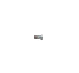 BOLT - BANJO FUEL FILTER