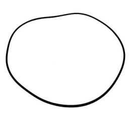 O RING