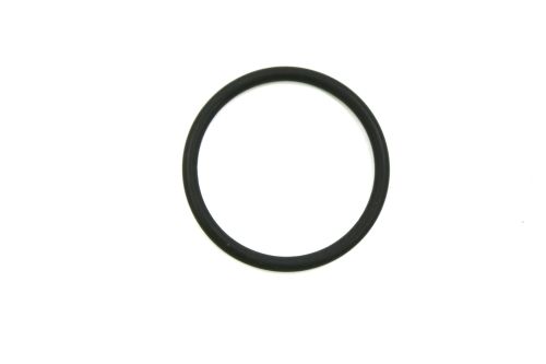 BUSCH LLC O-RING