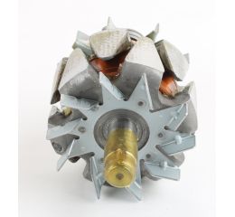 ROTOR ASSEMBLY