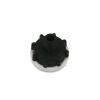 GAST MUFFLER ASSAY