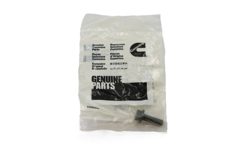 CUMMINS SCREW TWELVE POINT CAP