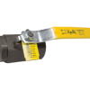 APOLLO BALL VALVE 2in NPT CARBON STEEL 3000psi