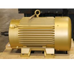 ELECTRIC MOTOR 40HP 230/460V 60Hz