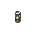 DETROIT DIESEL VALVE SPRING