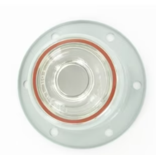 SKF HUB CAP