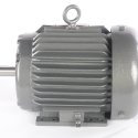 VIKING PUMP/VICAN PUMP ELECTRIC MOTOR 1 HP 208-230/460V 60Hz 3PH 145T