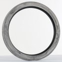 NATIONAL SEAL OIL SEAL