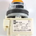 SCHNEIDER ELECTRIC LIGHT  PILOT-FULL VOLTAGE 120V 30MM