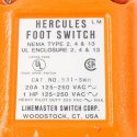 LINE MASTER DEAD MAN SWITCH