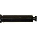 ASV BUCKET CYLINDER