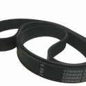 ITALMACHINE SPA V-BELT FOR BS3 AUTO 5.9L B ENGINE