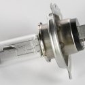BOBCAT BULB