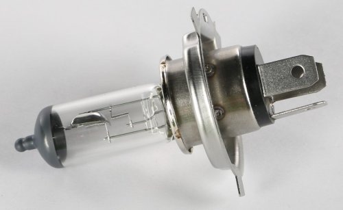 BOBCAT BULB