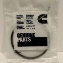 CUMMINS OIL RING PISTON