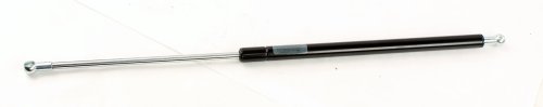IWS GRUDEN GAS SPRING