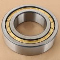 DANA CYLINDRICAL ROLLER BEARING 250MM OD