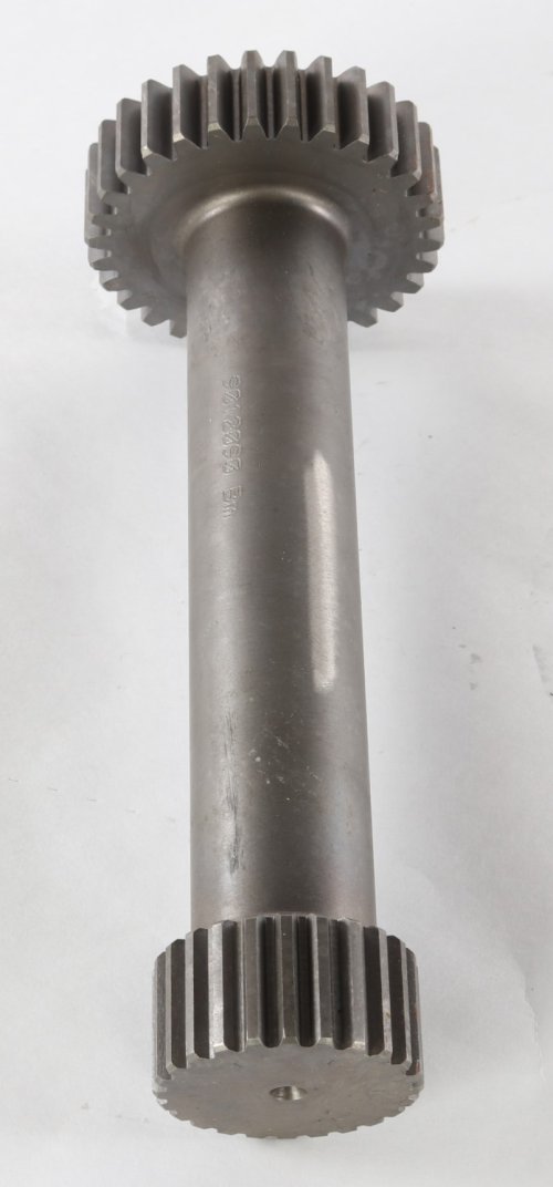 DANA SUN PINION