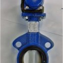 IRON WING SALES  INVENTORY BUTTERFLY VALVE 2.5\" W/DBL ACT ACTUATOR - DELVAL