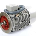 SIEMENS ELECTRIC MOTOR 30kW 690V 60Hz