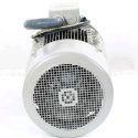 SIEMENS ELECTRIC MOTOR 30kW 690V 60Hz