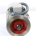 SIEMENS ELECTRIC MOTOR 30kW 690V 60Hz