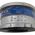 CHAMPION VALVE CHECK VALVE 2in ASME CLASS 300 VITON SEALS