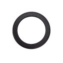 CFW LIP SEAL