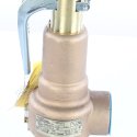 APOLLO VALVE PRESSURE RELIEF VALVE 1-1/4\" 175psi