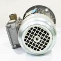 BONFIGLIOLI IEC ASYNCHRONOUS IE1 3-PHASE ELECTRIC MOTOR