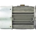 BONFIGLIOLI IEC ASYNCHRONOUS IE1 3-PHASE ELECTRIC MOTOR