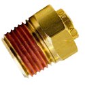 TECTRAN FITTING CONNECTOR MALE 1/2T 1/2P