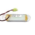 AMERICAN TECHNOLOGY COMPONENTS  INC DOME LIGHT