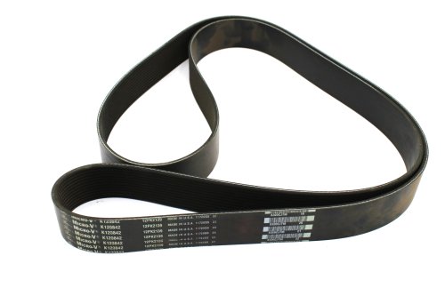 GATES BELT