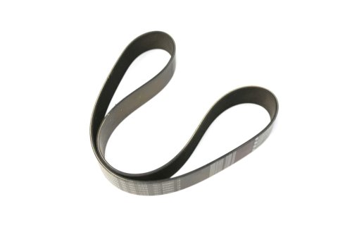 PACCAR FAN BELT