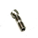 CUMMINS ROCKER LEVELER ADJ SCREW