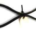 MITSUBOSHI V-BELT V2403M-DI-E3B-EU-Z8
