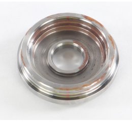 PLATE OIL SEAL